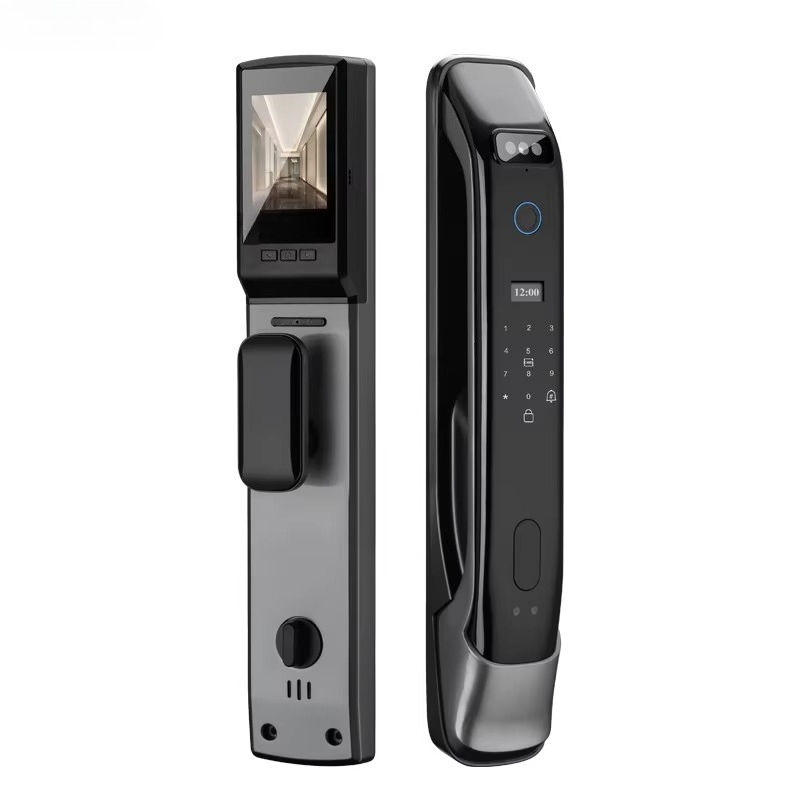 XSDTS DF03 Riconoscimento facc - Home Security Electronics recensione e prezzo