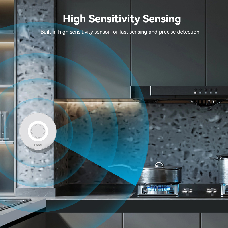 Meian Zigbee Rilevatore di gas - Home Security Business recensione e prezzo