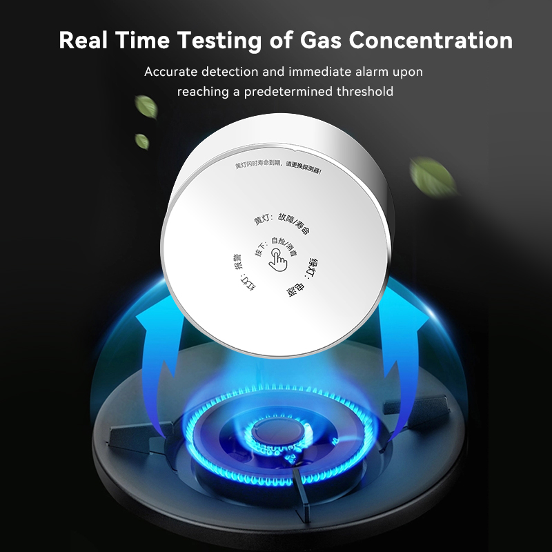Meian Zigbee Rilevatore di gas - Home Security Business recensione e prezzo