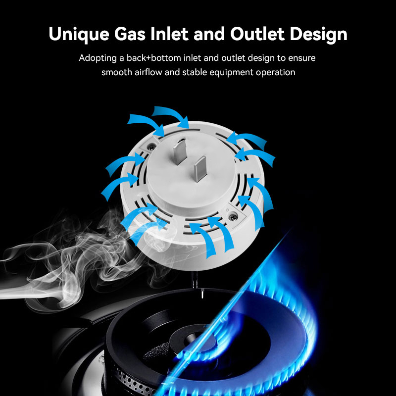 Meian Zigbee Rilevatore di gas - Home Security Business recensione e prezzo