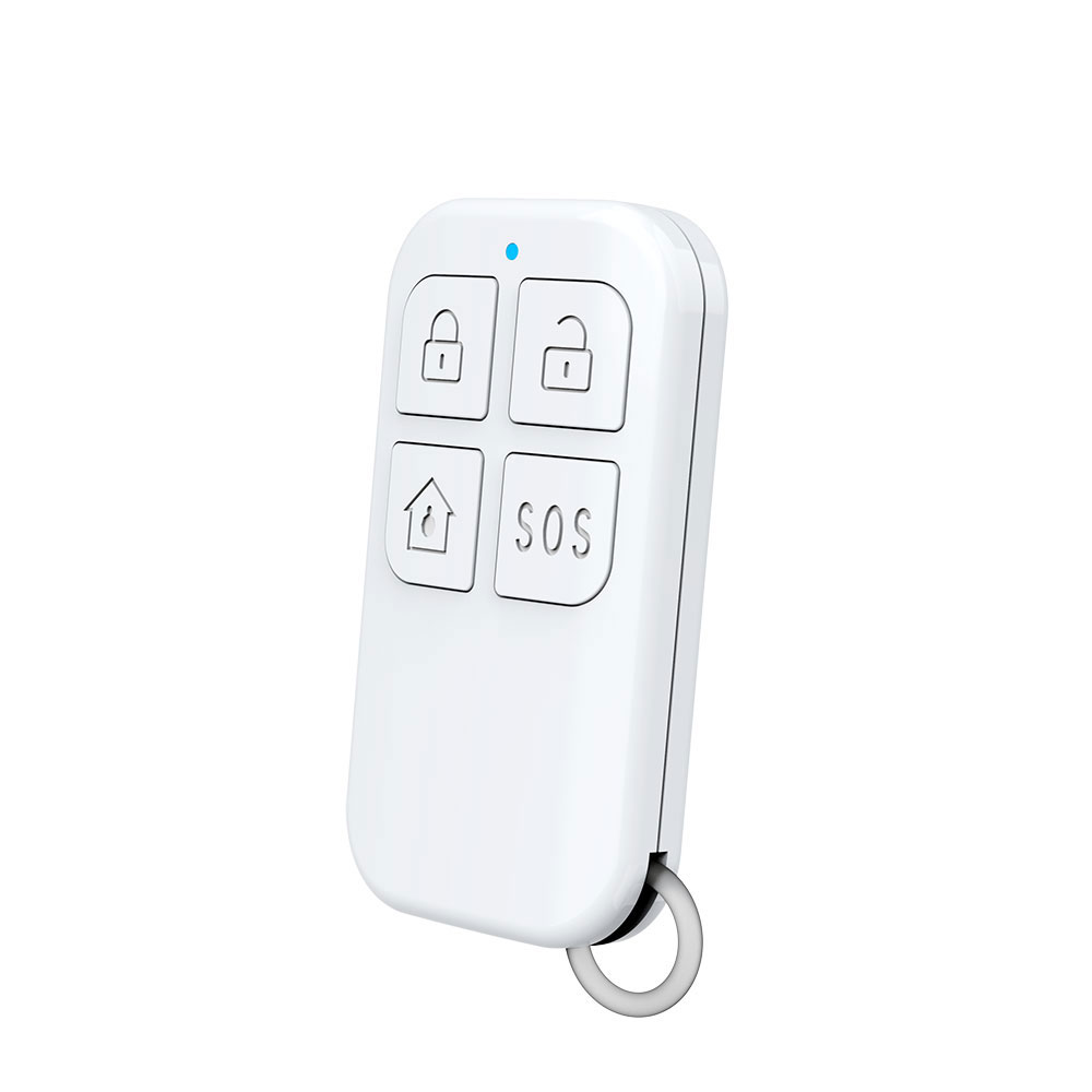 Rilevatore di telecomando wire - Home Security Business recensione e prezzo