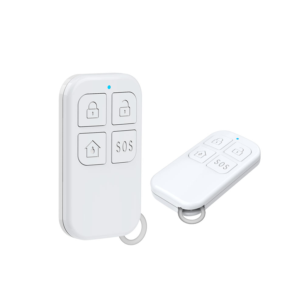 Rilevatore di telecomando wire - Home Security Business recensione e prezzo