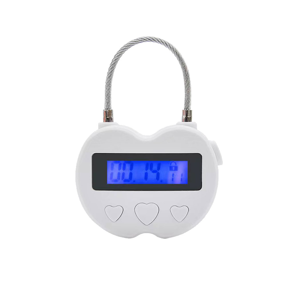 Lucchetto Intelligente con Dis - Home Security Electronics recensione e prezzo