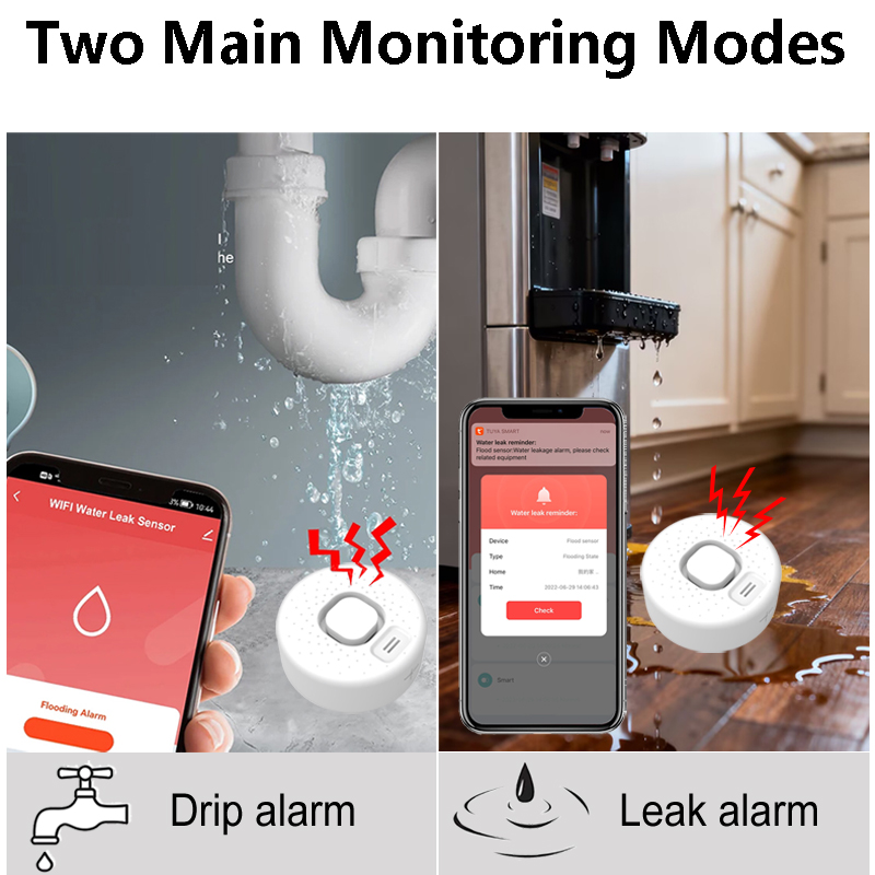 Rilevatore Intelligente di Per - Home Security Options recensione e prezzo
