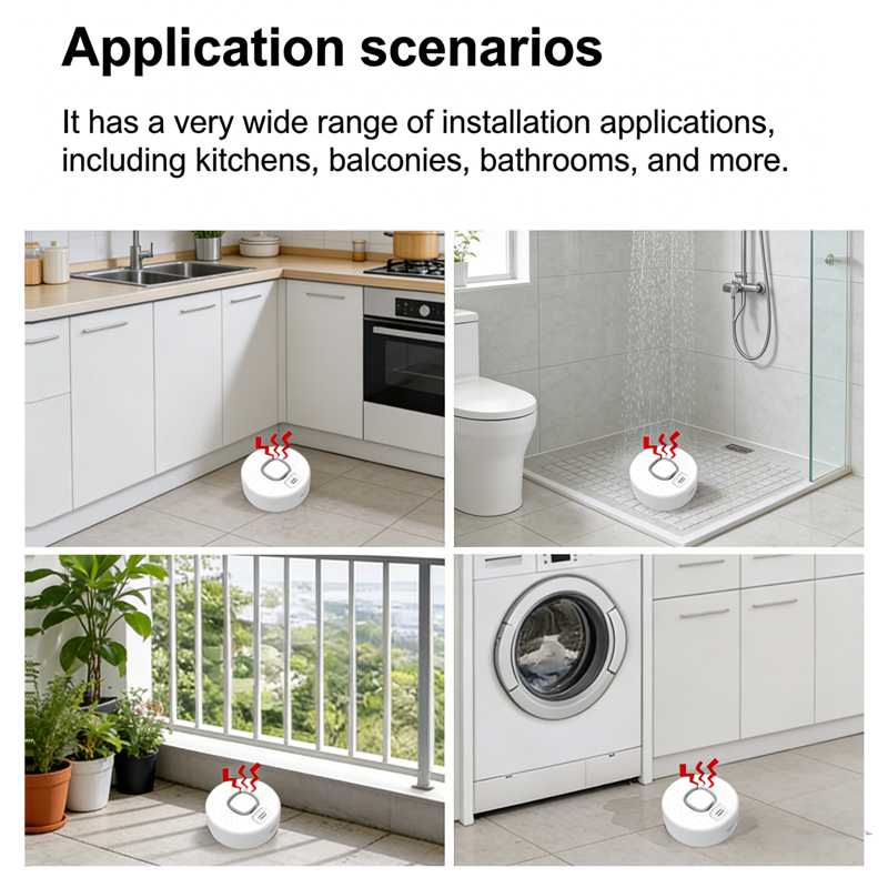 Rilevatore Intelligente di Per - Home Security Options recensione e prezzo