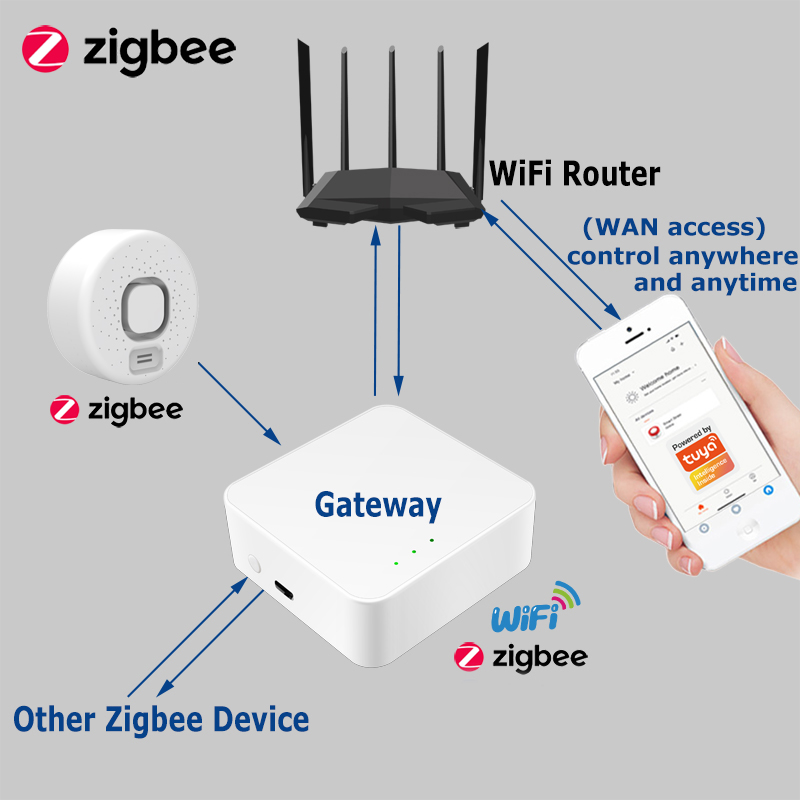 Rilevatore Intelligente di Per - Home Security Options recensione e prezzo