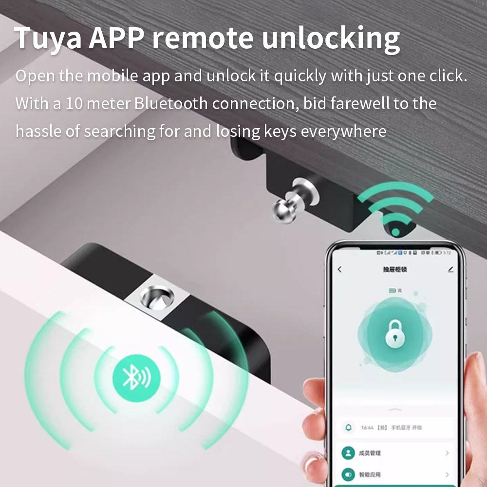 Tuya Serratura per armadietto  - Home Security Electronics recensione e prezzo